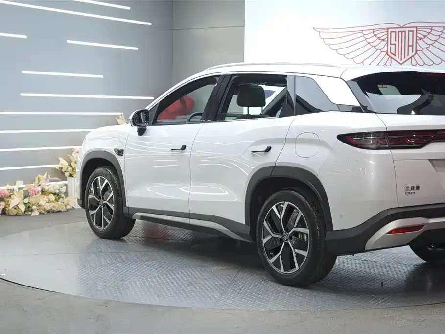 BYD L DM-i 2025 — фото 13