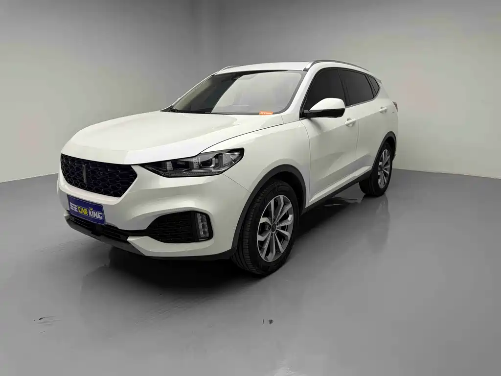 Wey VV6 2019