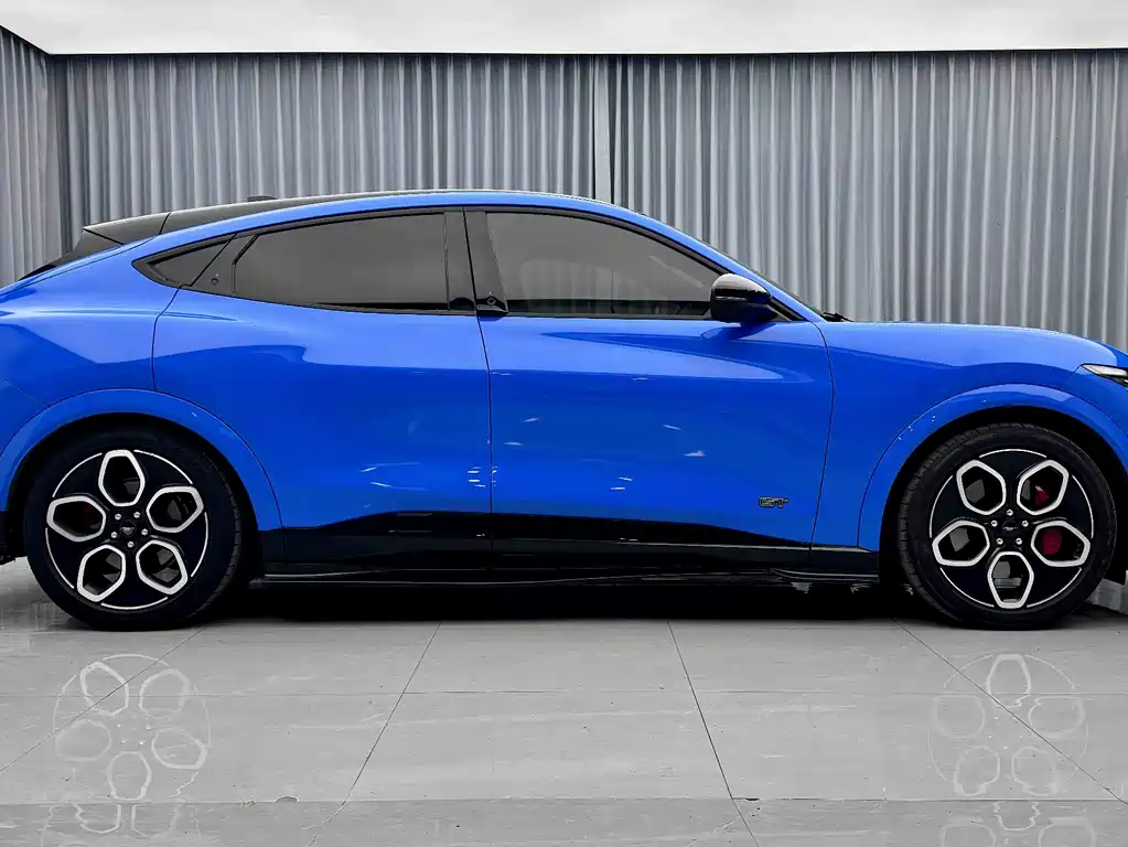 Ford Electric Horse 2021 — фото 10
