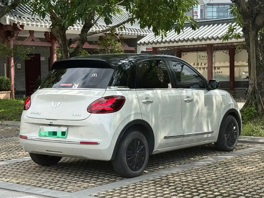 Wuling Bingo 2024