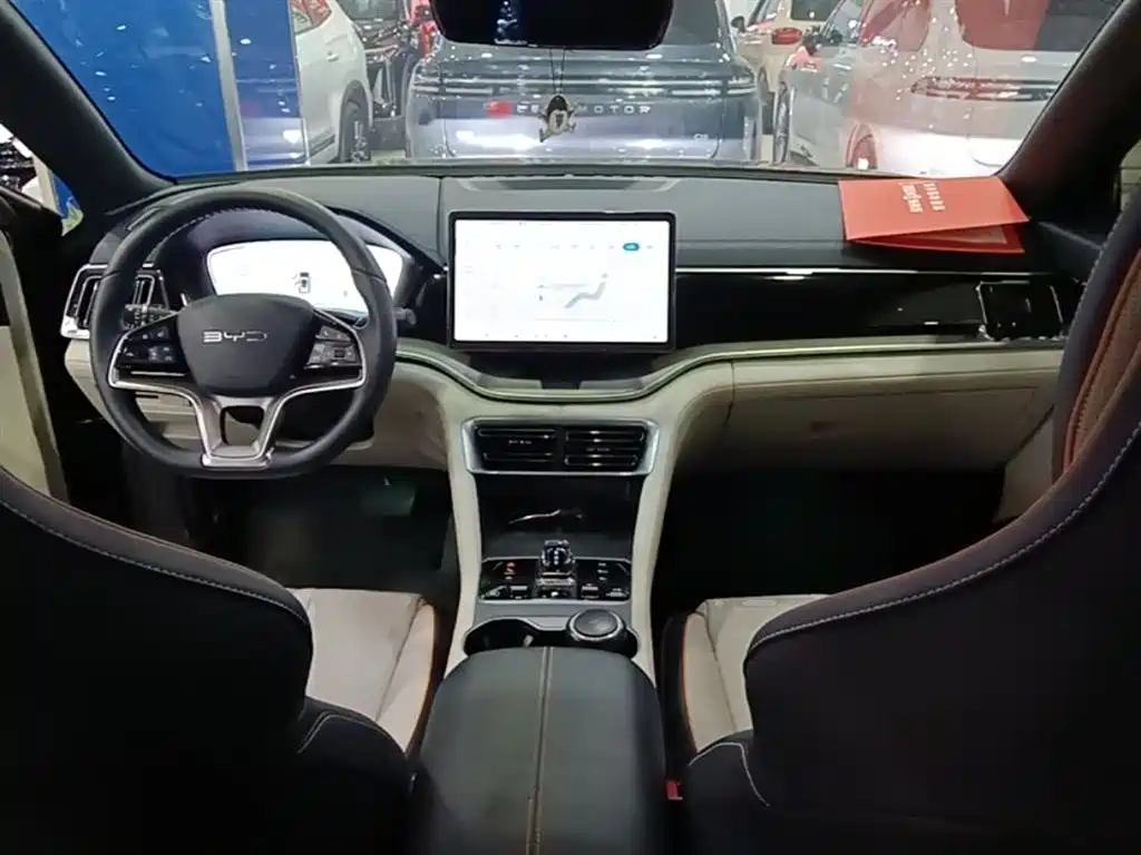 BYD PLUS New Energy 2024 — фото 10