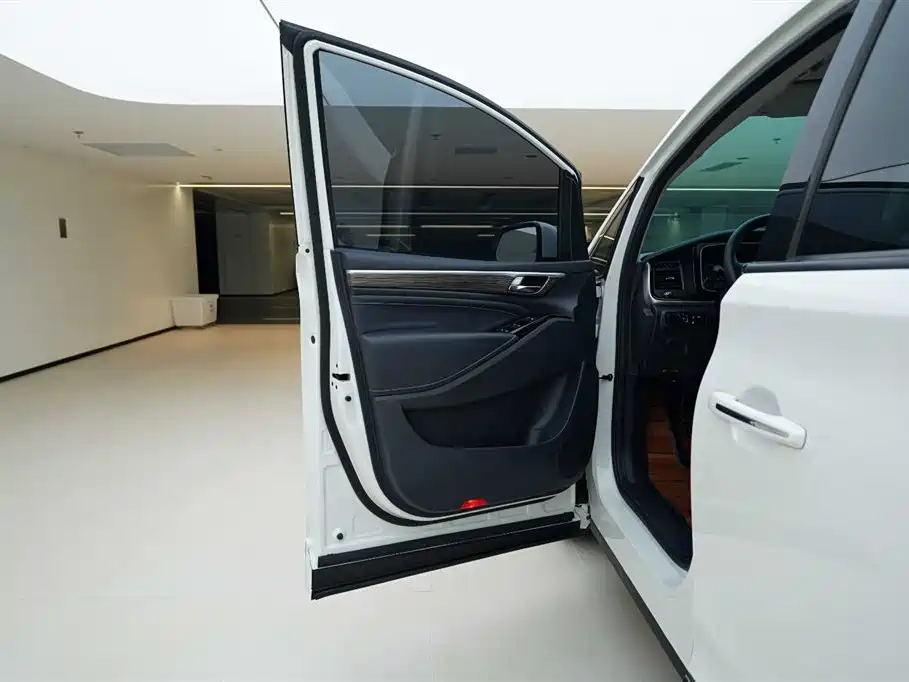 GAC Motor Trumpchi M8 2021 — фото 18