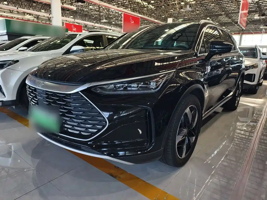 BYD Tang New Energy 2024 — фото 1