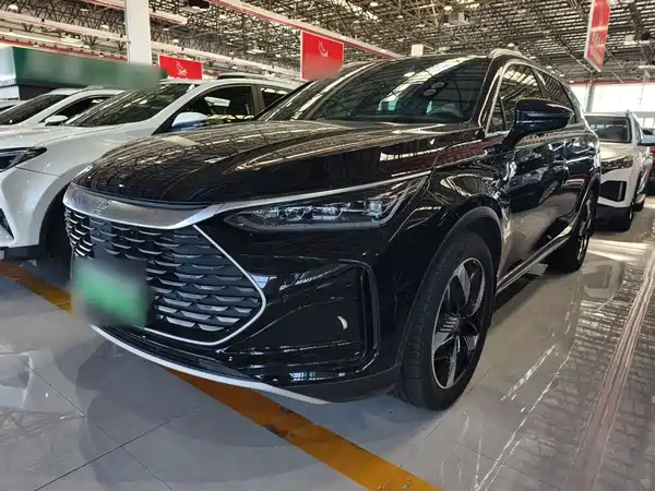 BYD Tang New Energy 2024