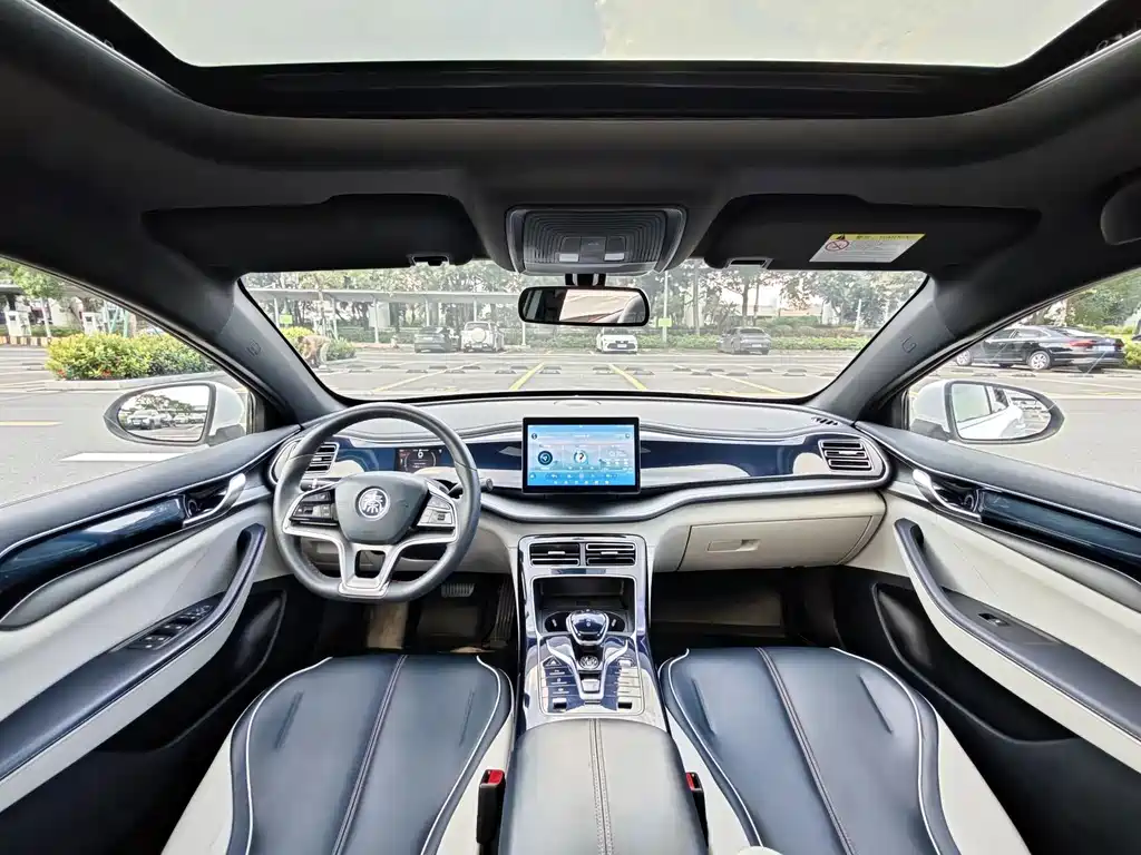 BYD Qin PLUS 2021 — фото 8