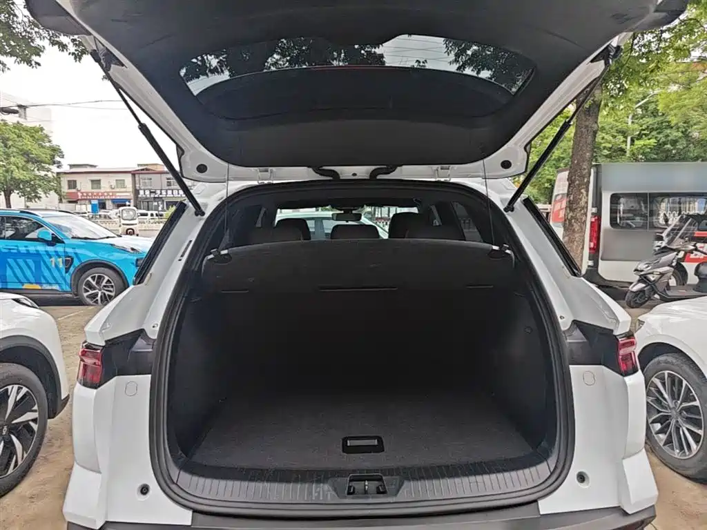 BYD Pro New Energy 2024 — фото 19