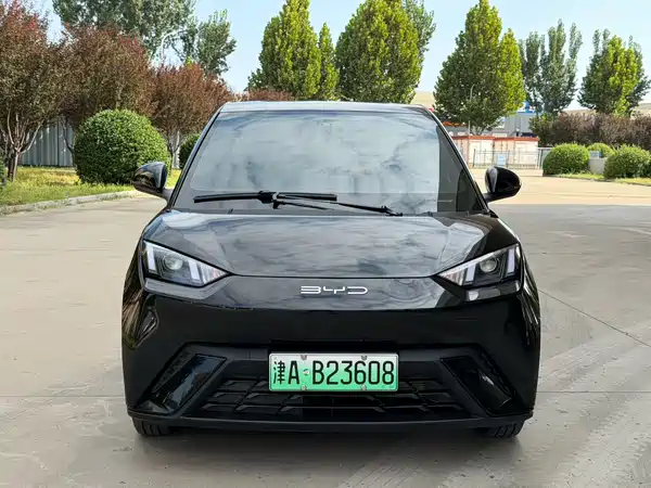 BYD Seagull 2024