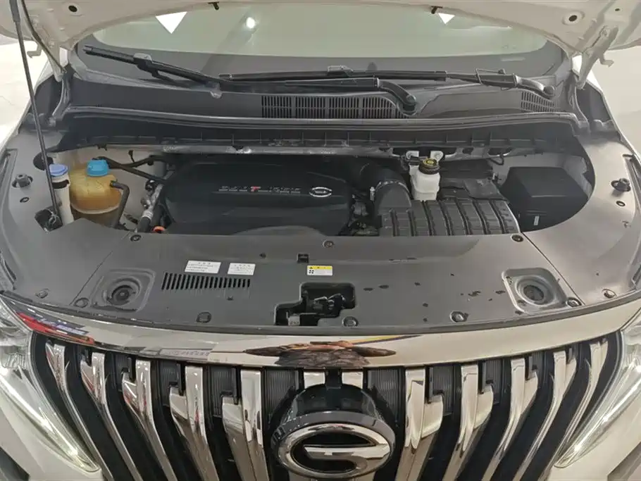 GAC Motor Trumpchi M8 2021 — фото 10