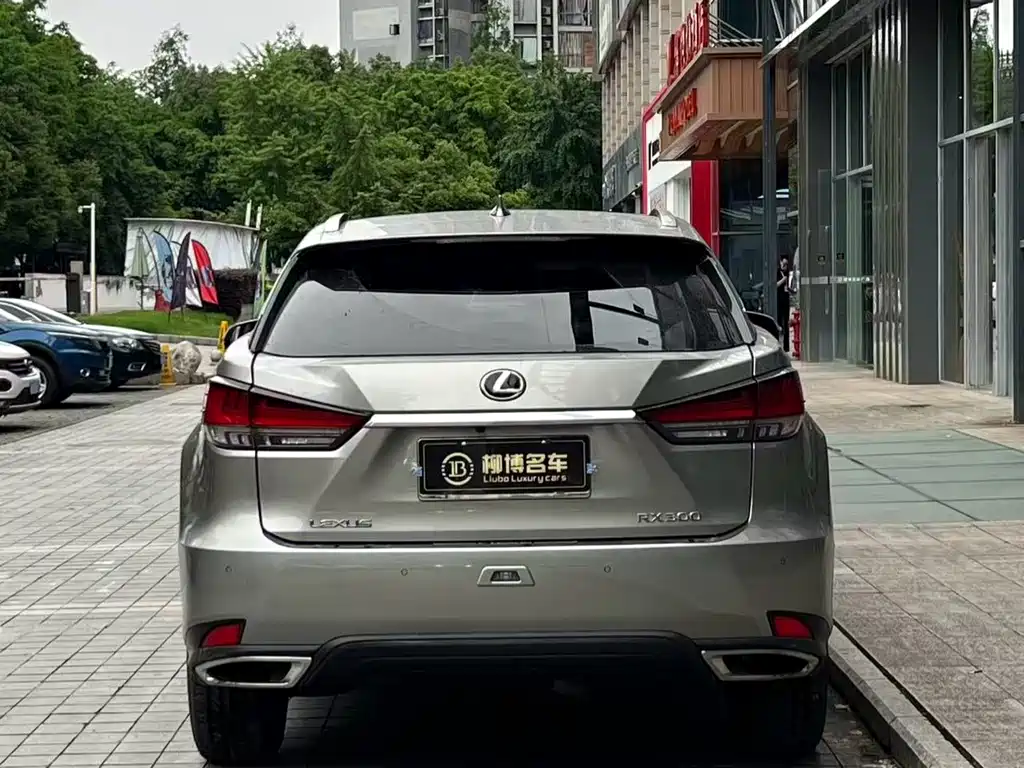 Lexus RX 2022 — фото 6