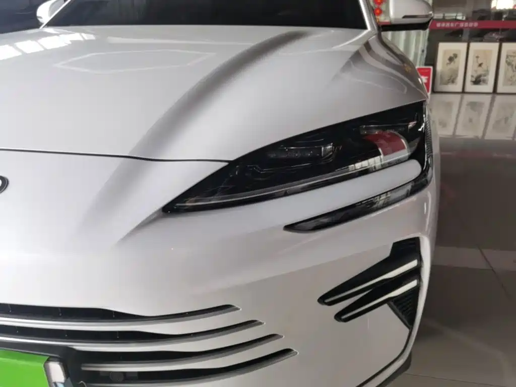 BYD PLUS New Energy 2025 — фото 24