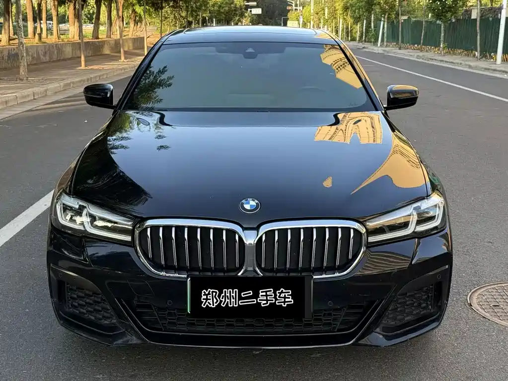 BMW 5 Series New Energy 2021