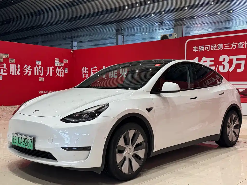 Tesla Model Y 2021 — фото 1