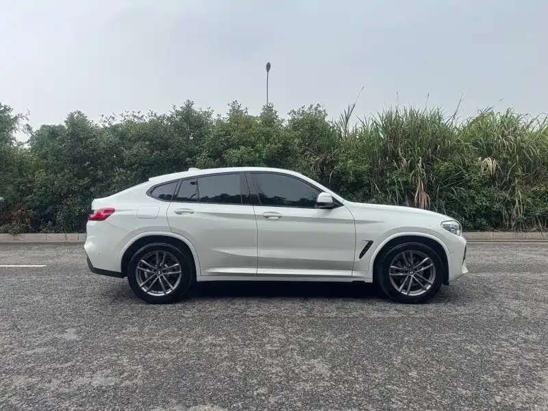 BMW X4 2020 — фото 8