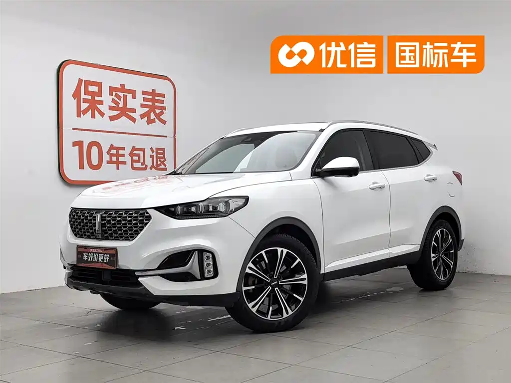 Wey VV6 2020