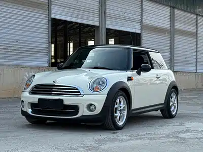 MINI MINI 2014