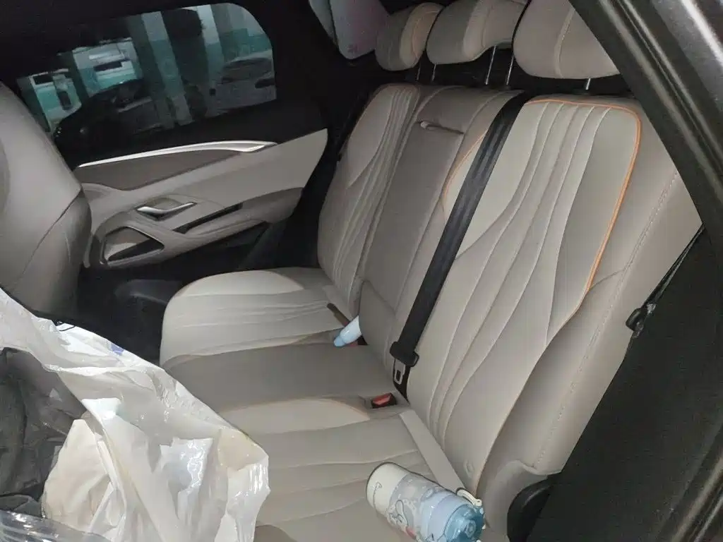 BYD Song Pro New Energy 2025 — фото 15