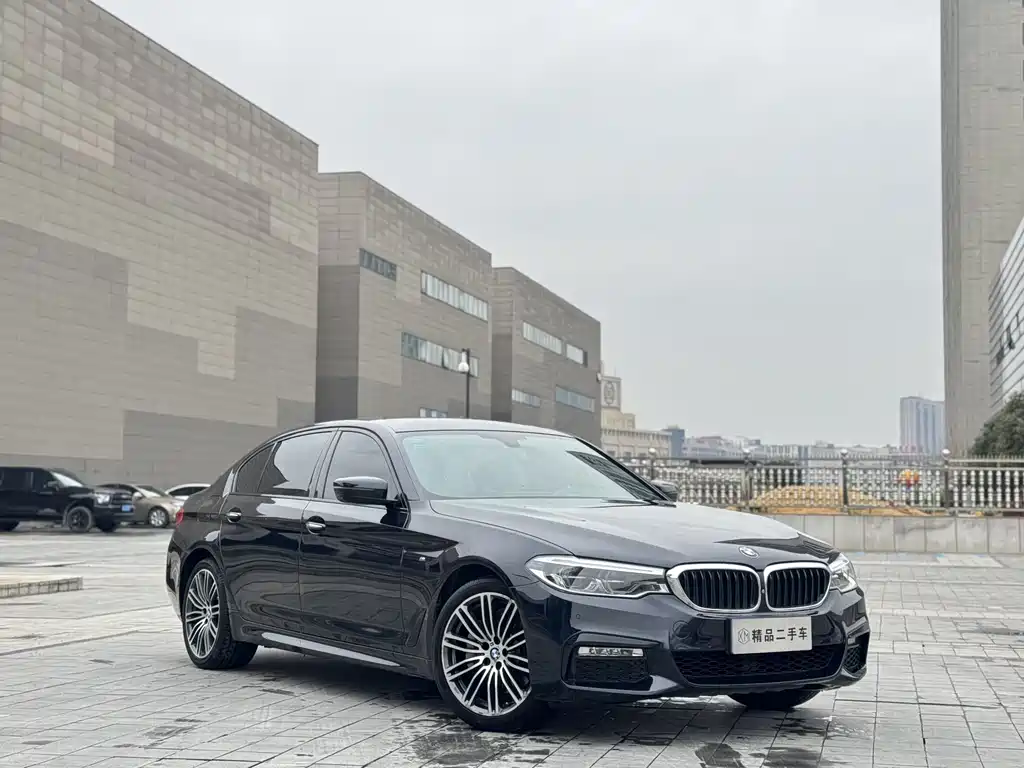 BMW 5 Series 2017 — фото 3