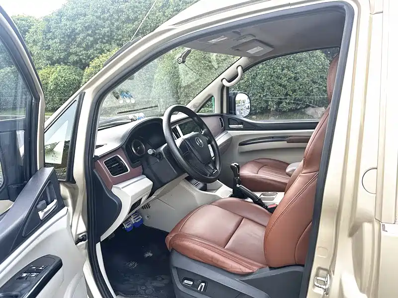 Dongfeng Lingzhi 2019