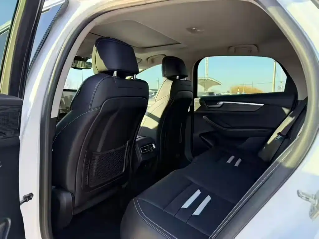 BYD Qin Pro NEV 2019 — фото 6