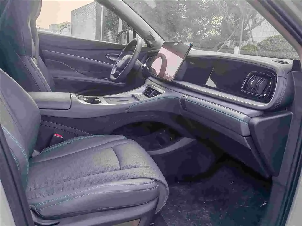 BYD Sealion 07 DM-i 2025 — фото 5