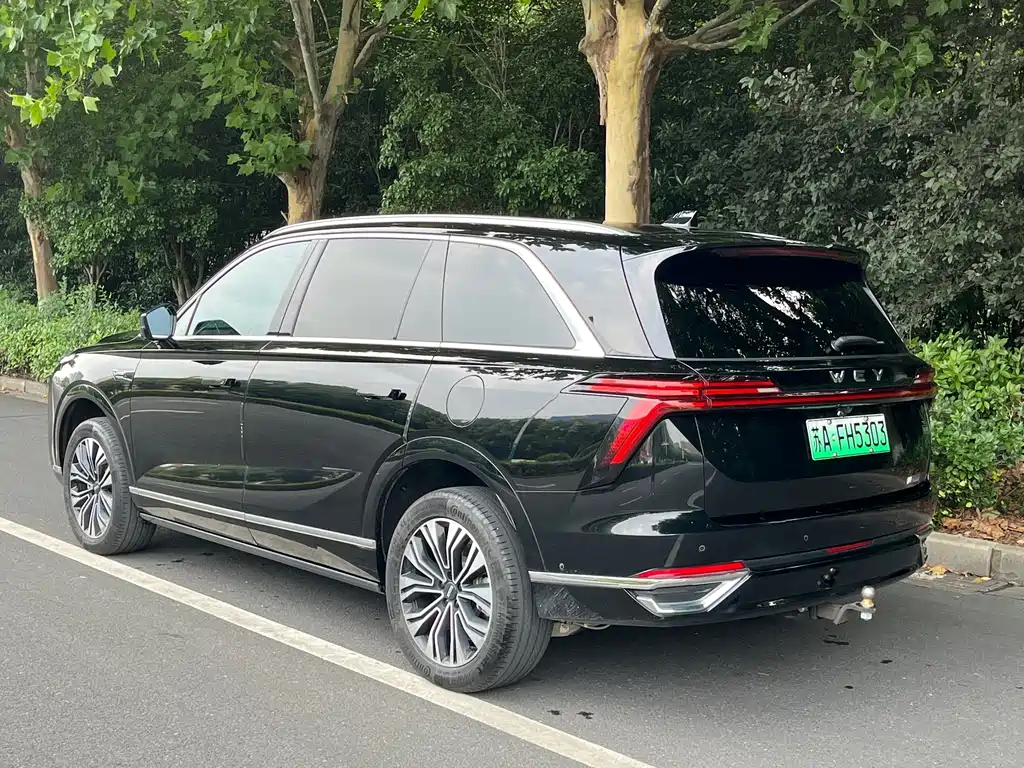 Wey Lanshan 2024