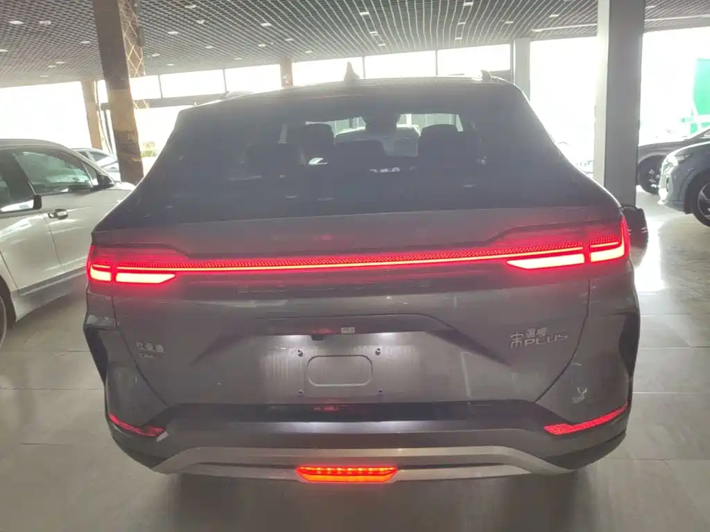 BYD PLUS New Energy 2024 — фото 6