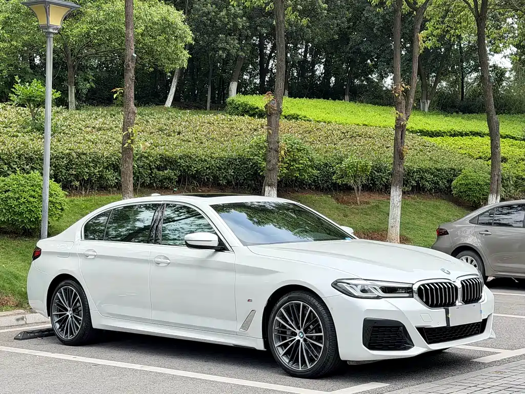 BMW 5 Series 2021
