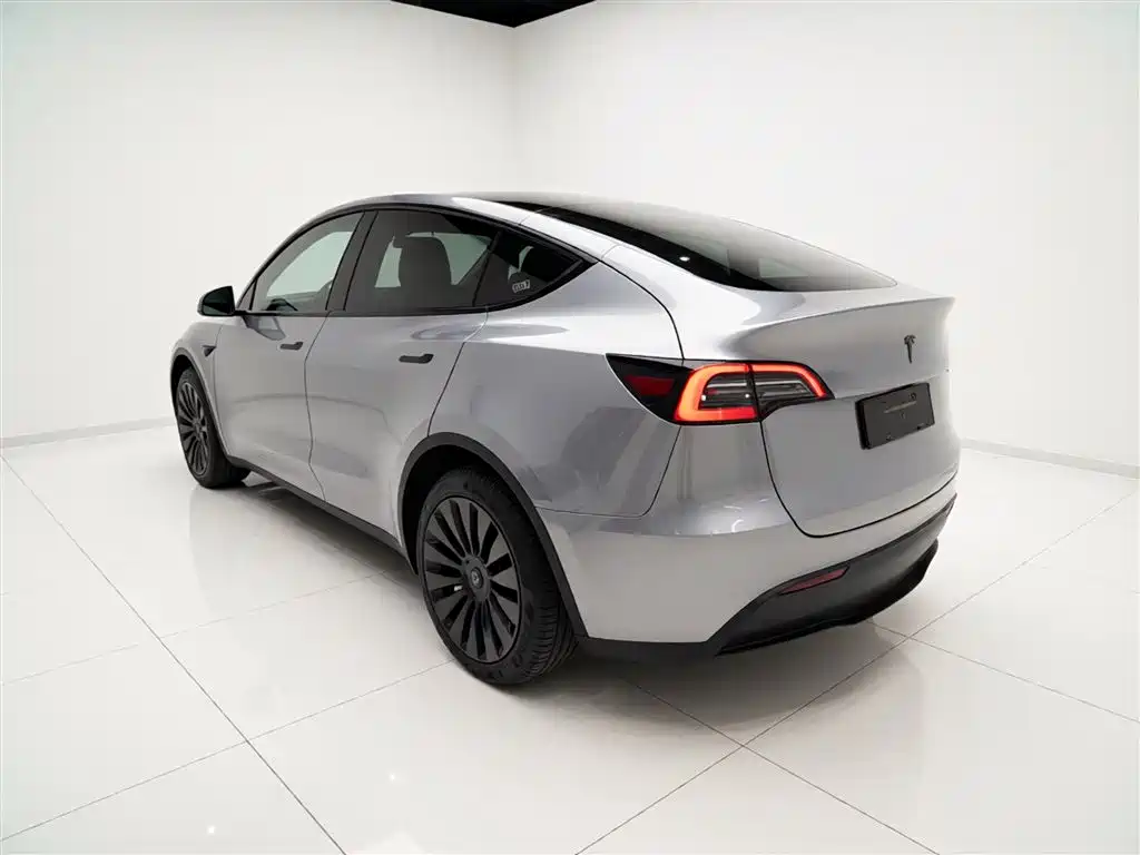 Tesla Model Y 2021 — фото 5