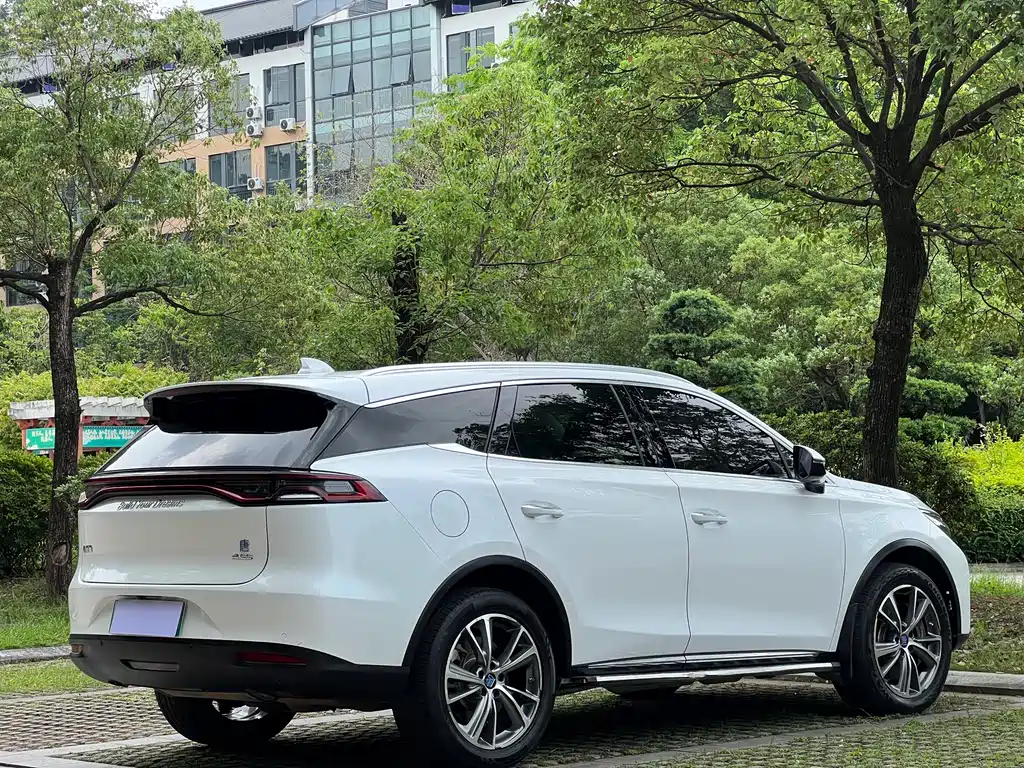 BYD Tang New Energy 2019 — фото 19