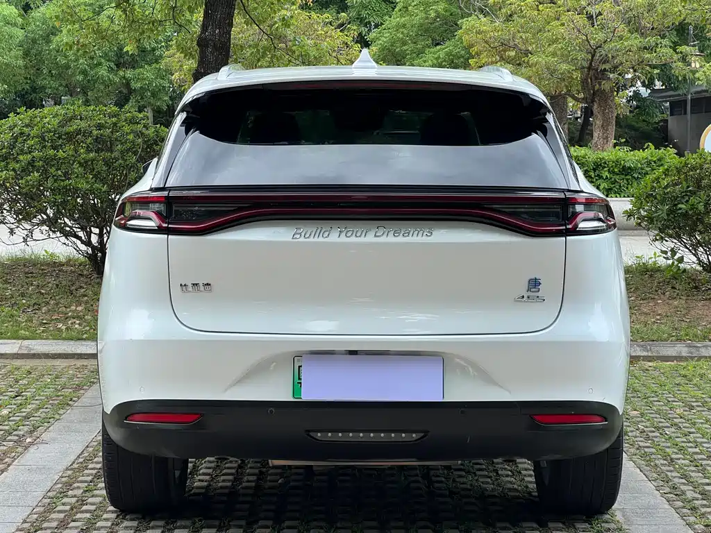 BYD Tang New Energy 2019 — фото 18