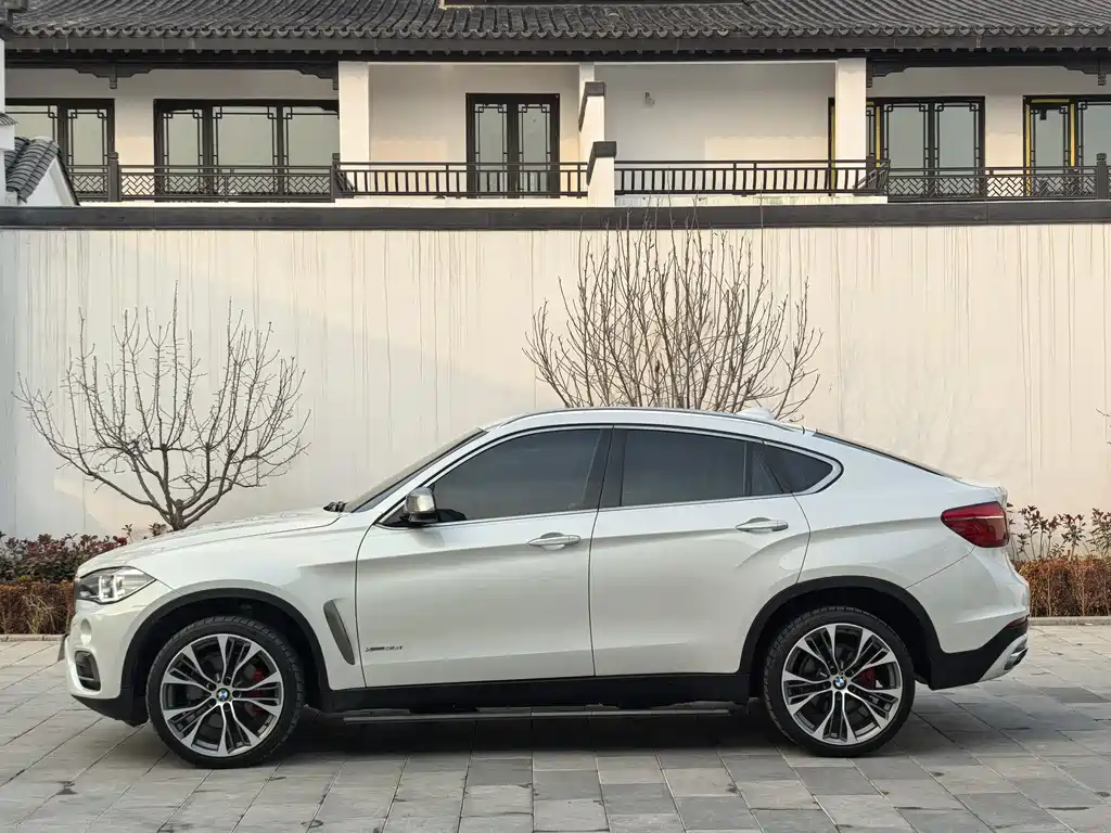 BMW X6 2018 — фото 7