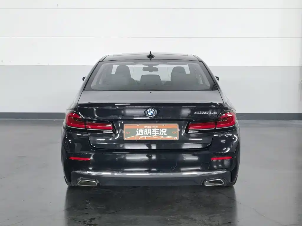 BMW 5 Series New Energy 2021