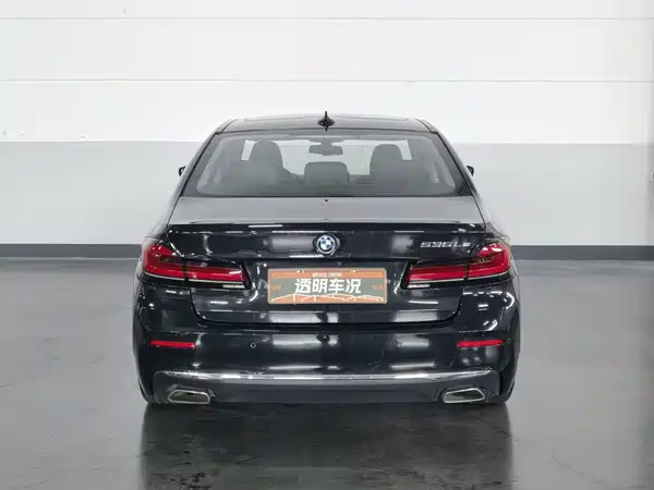 BMW 5 Series New Energy 2021