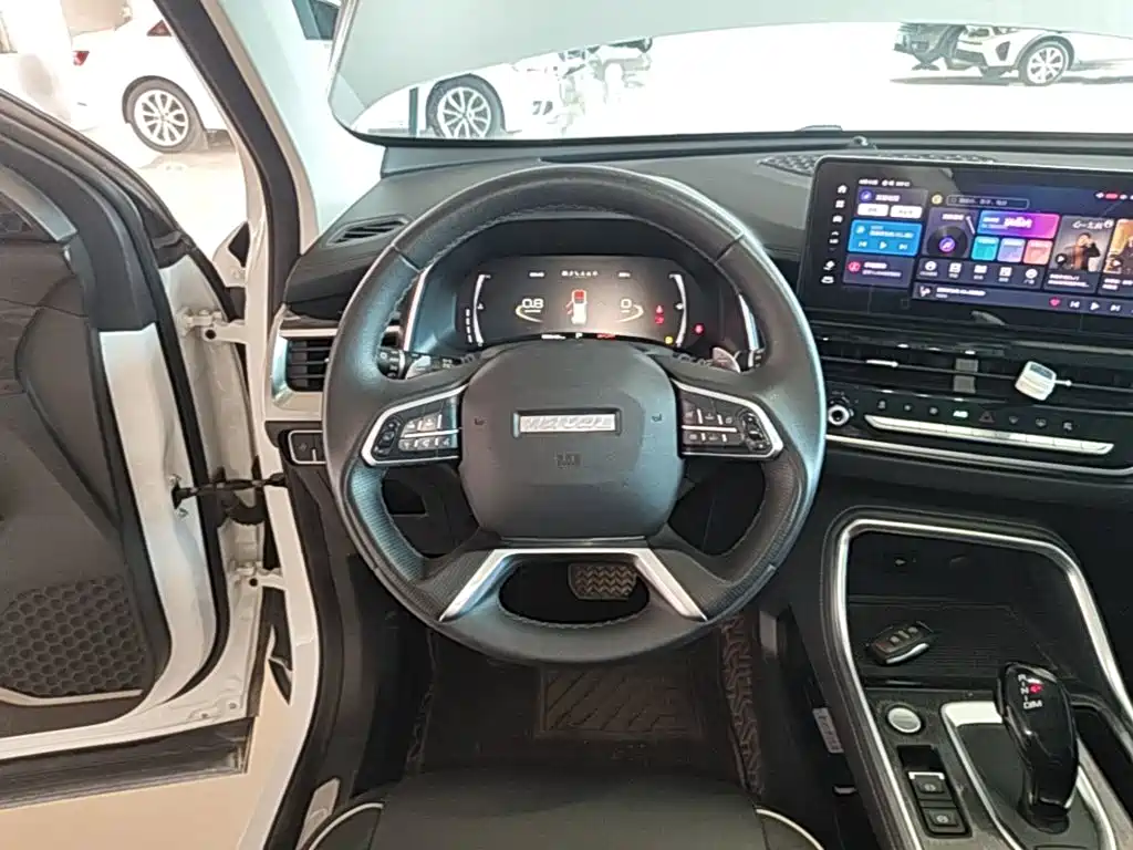 Haval H6 2022 — фото 11