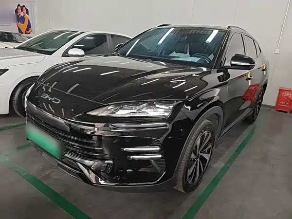 BYD Song PLUS New Energy 2024
