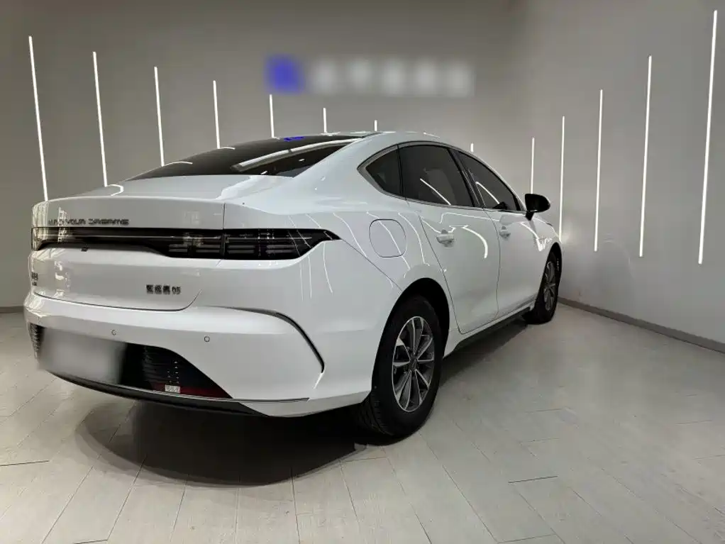 BYD Destroyer 05 2025 — фото 11