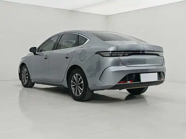 BYD Destroyer 05 2024
