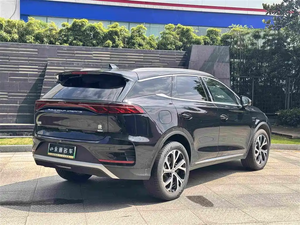 BYD Tang New Energy 2025 — фото 15