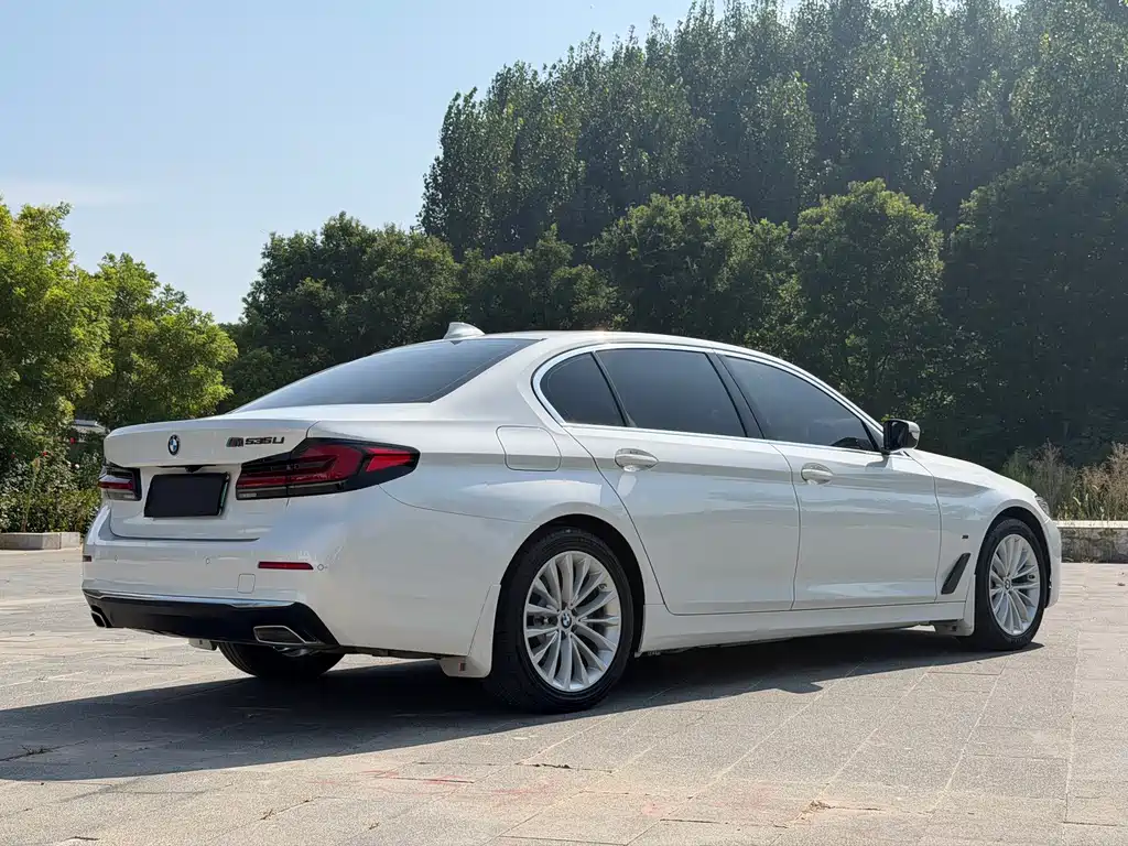 BMW 5 Series New Energy 2020