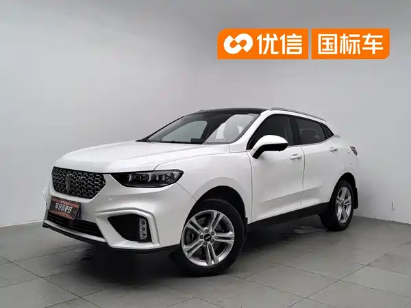 Wey VV5 2020