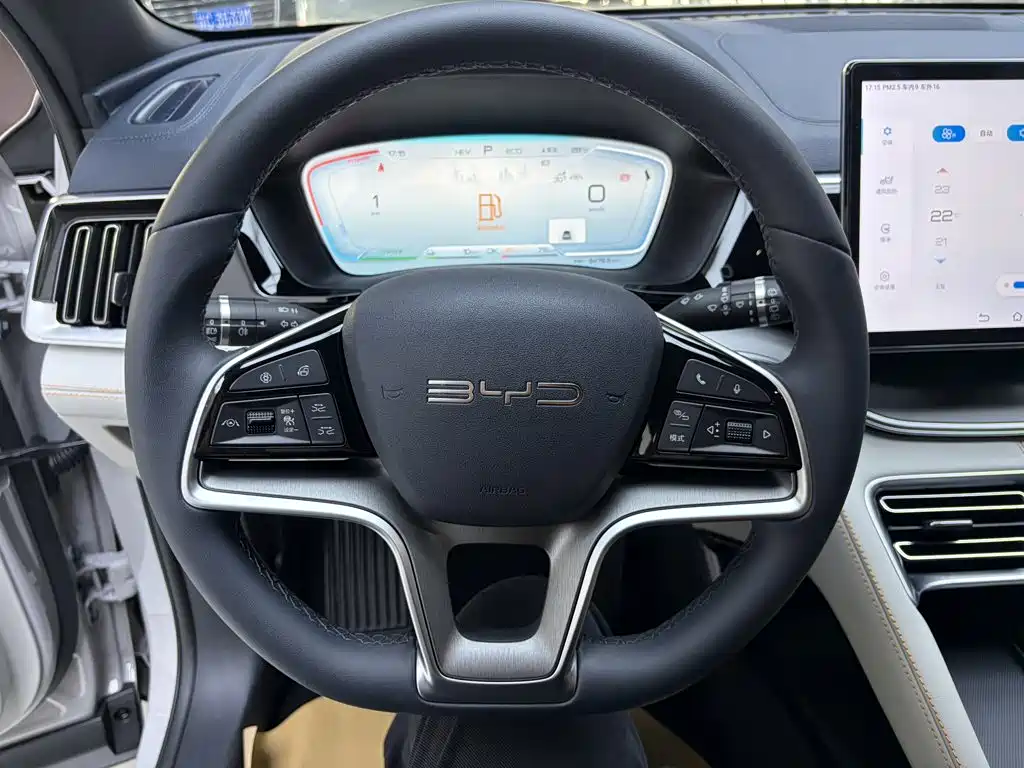 BYD Song PLUS New Energy 2024 — фото 12