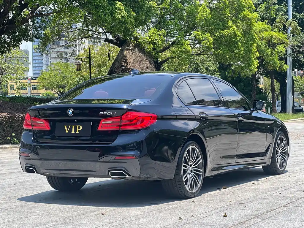 BMW 5 Series 2018 — фото 28