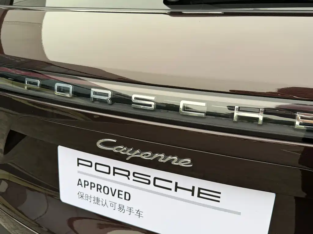 Porsche Cayenne 2022 — фото 18