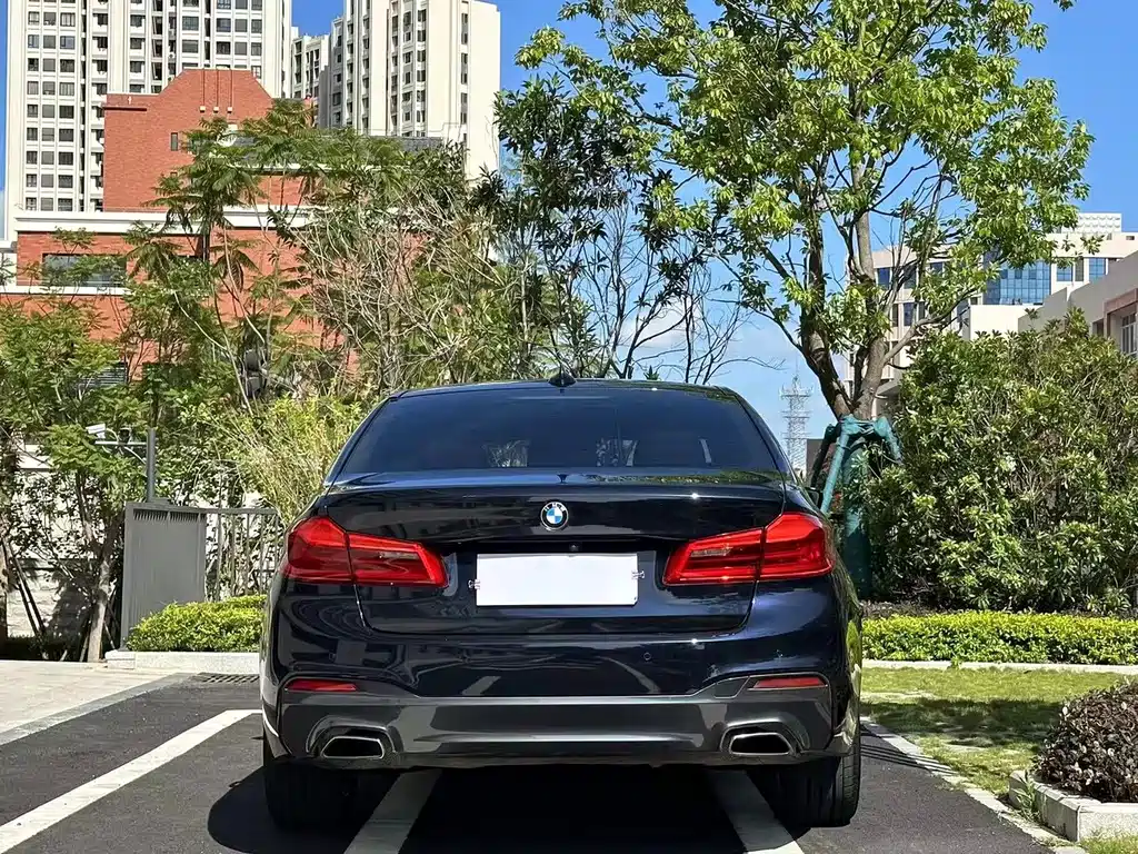 BMW 5 Series 2019