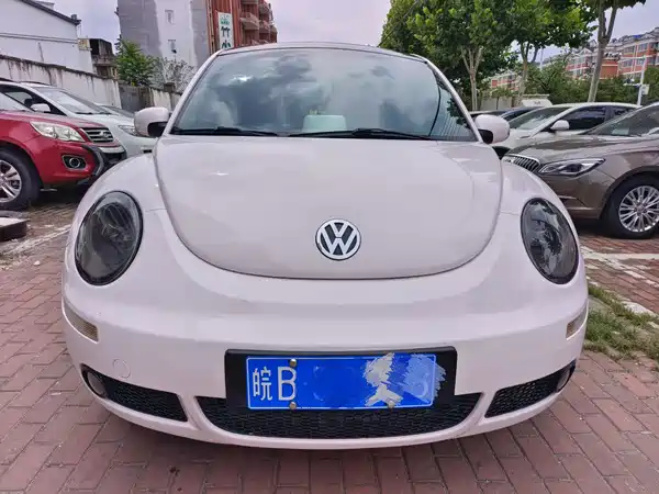 Volkswagen Beetle 2010