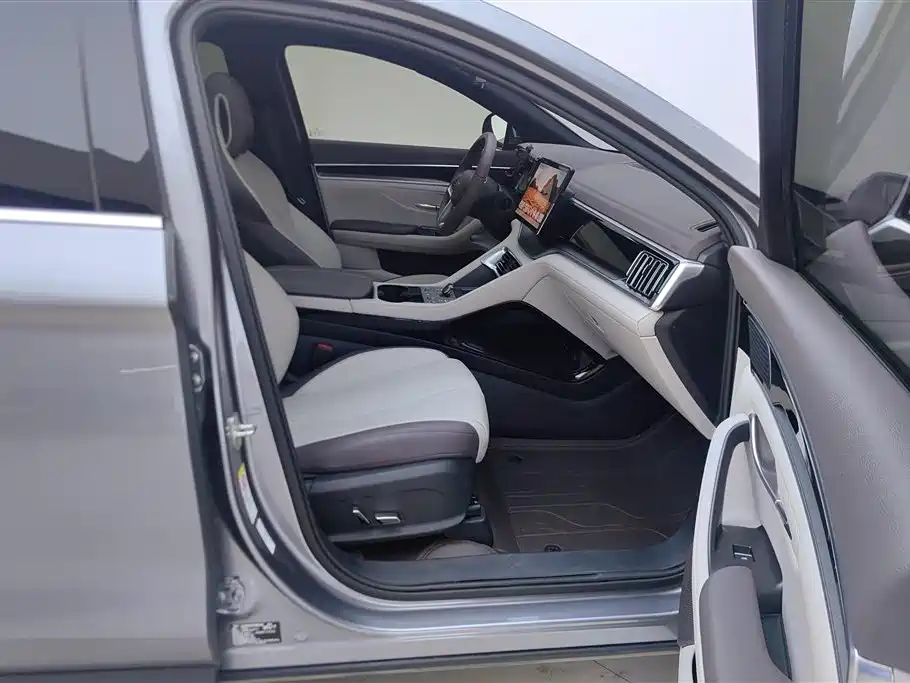 BYD Song PLUS New Energy 2025 — фото 8