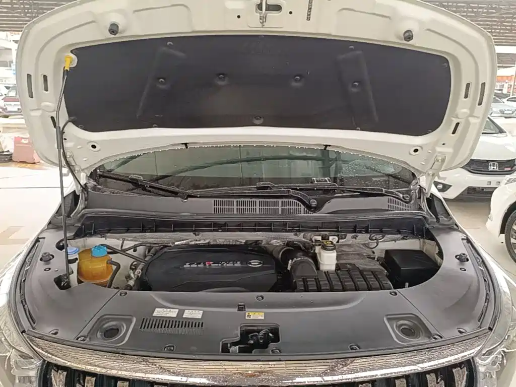 GAC Trumpchi M8 2020 — фото 13