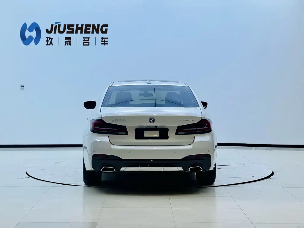 BMW 5 Series New Energy 2022