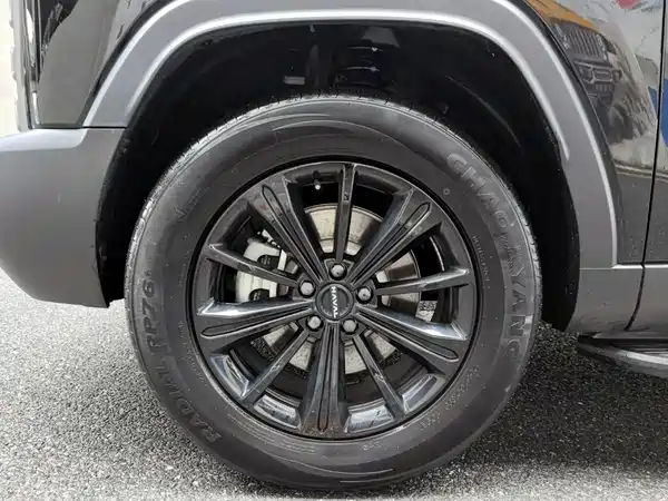 Haval Raptors New Energy 2024