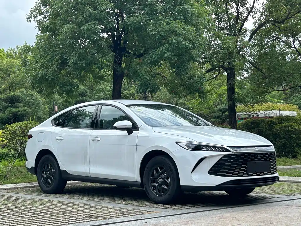 BYD Qin PLUS 2026 — фото 3